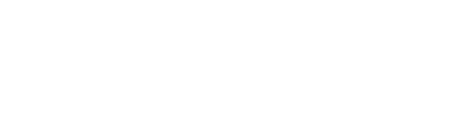 Startup Texas Logo